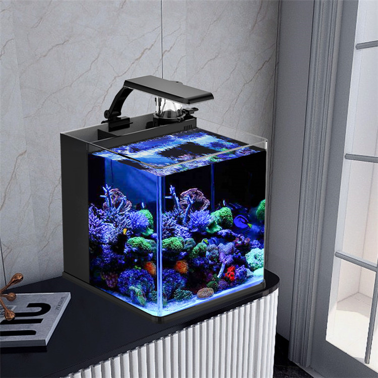 Marine Aquarium In Clearwater - skynuo Ultra Klares Glas Mini Salzwasser-Meerwasseraquarium