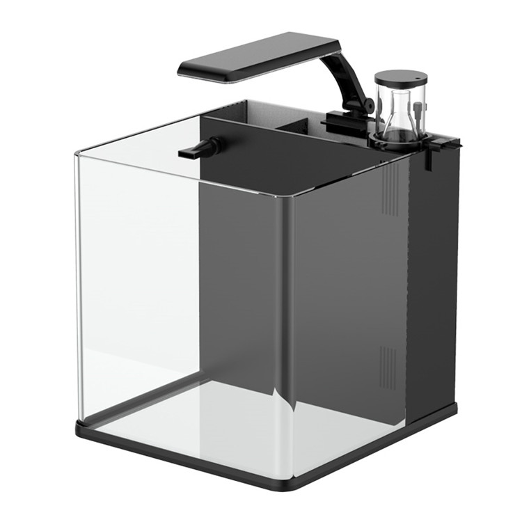 Marine Aquarium In Clearwater - Neuestes Modell Klarglas Mini Salzwasser Marine