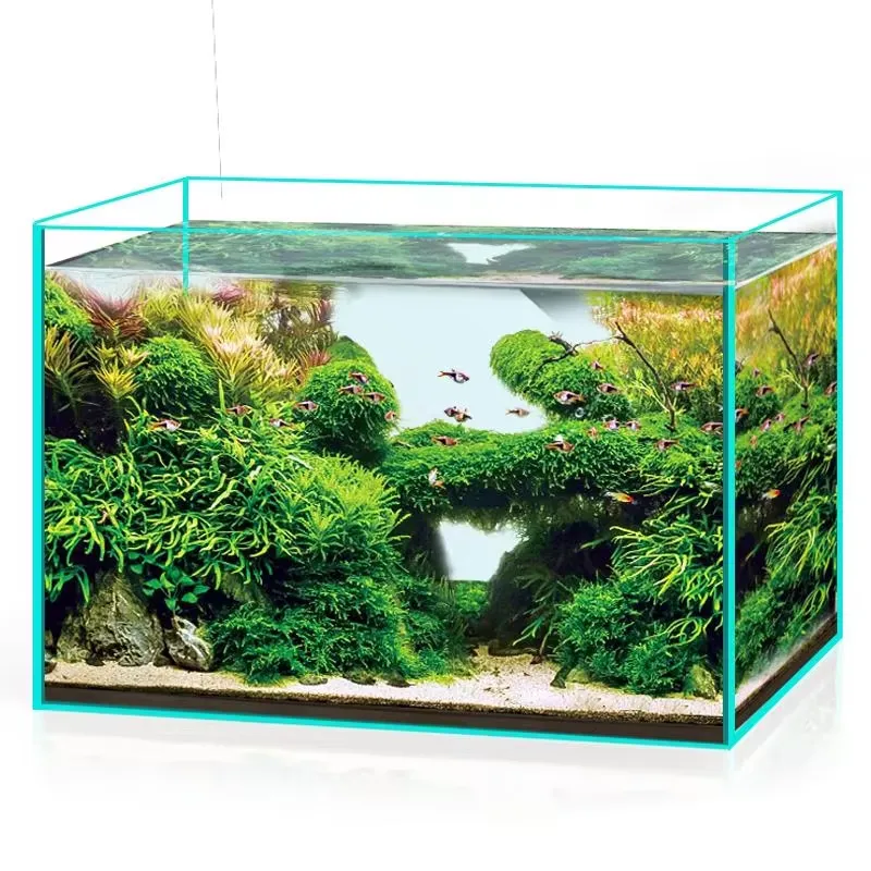 Marine Aquarium In Clearwater - Ultraklares Glas-Aquarium für Fische in Allen