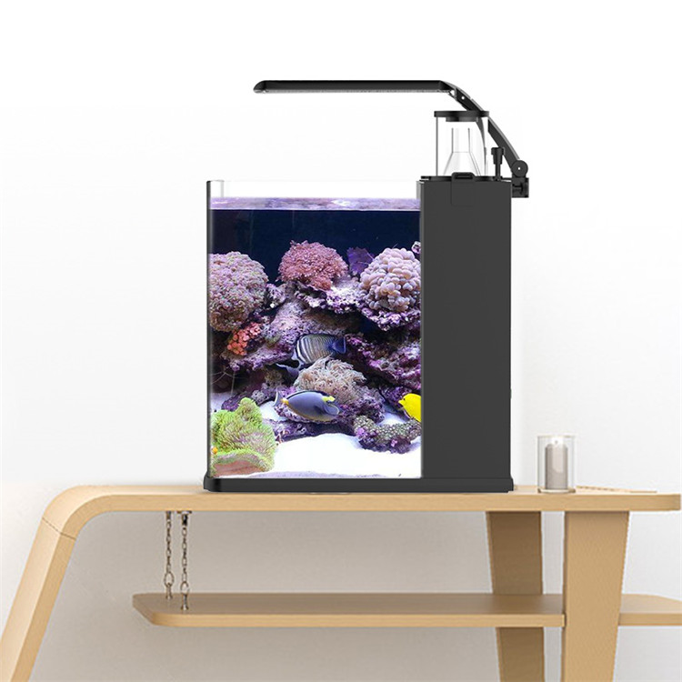 Marine Aquarium In Clearwater - Skynuo Ultra Klares Glas Mini Salzwasser-Meerwasseraquarium