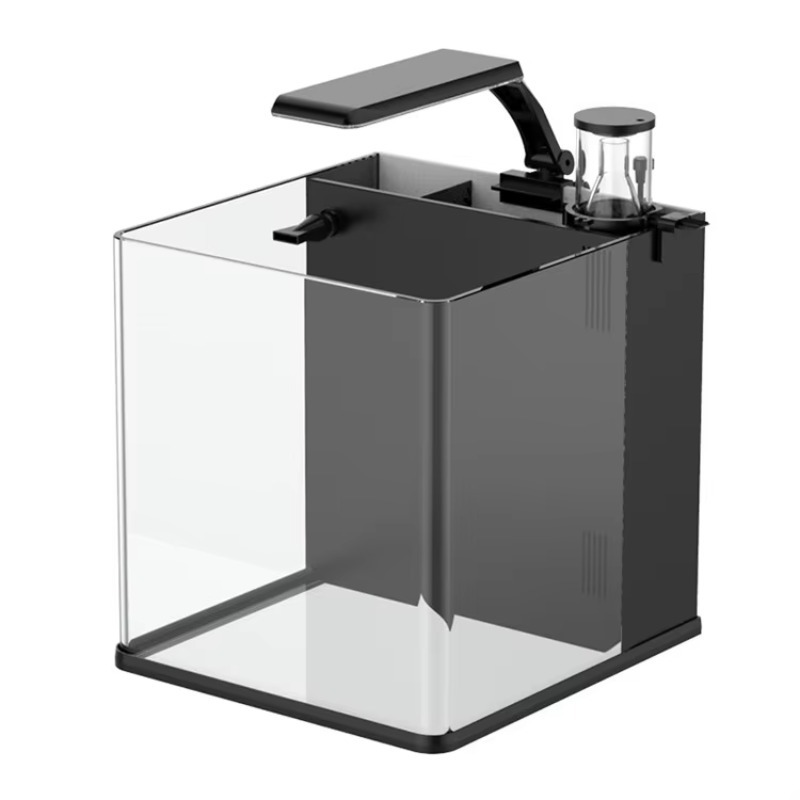 Marine Aquarium In Clearwater - Ultraklares Glas Mini Salzwasser Meerwasser-Aquarium Fischbecken