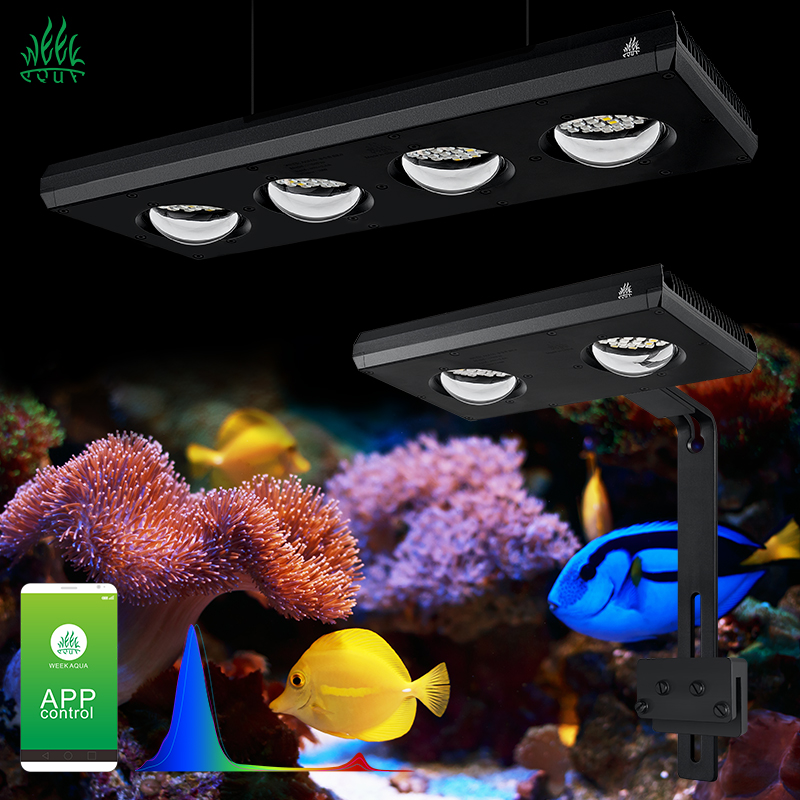 Marine Aquarium For Sale - ZXY Heißer Verkauf WEEKAQUA Z250 Z400sea