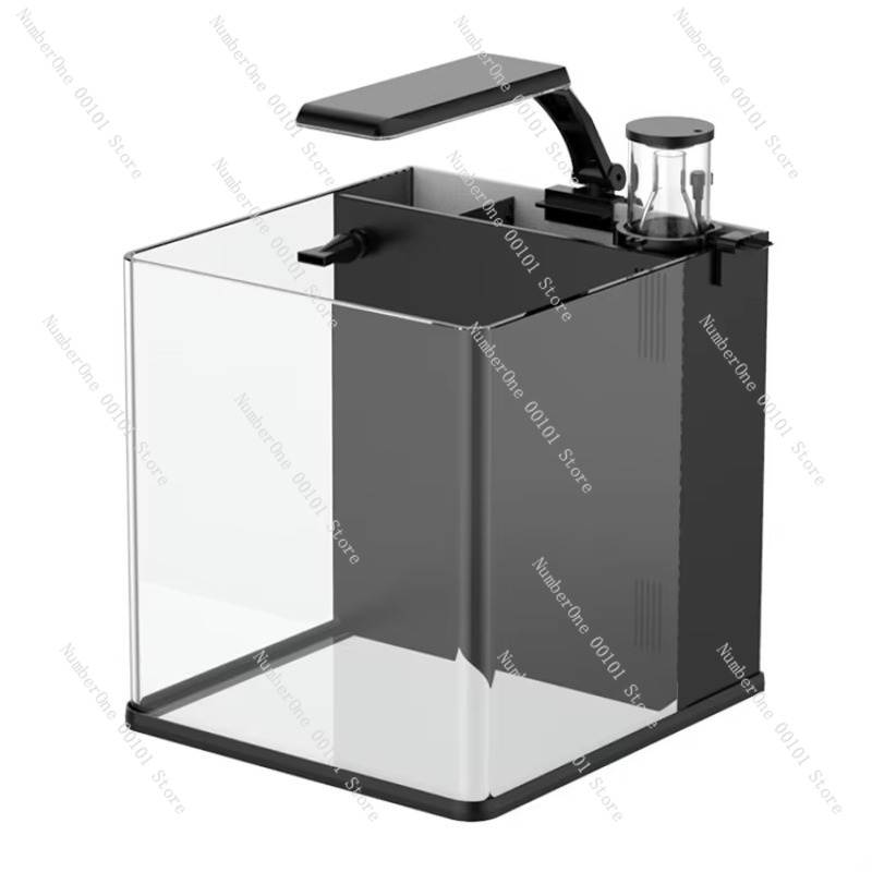 Marine Aquarium In Clearwater - Ultraklares Glas Mini Salzwasser Meerwasser-Aquarium für