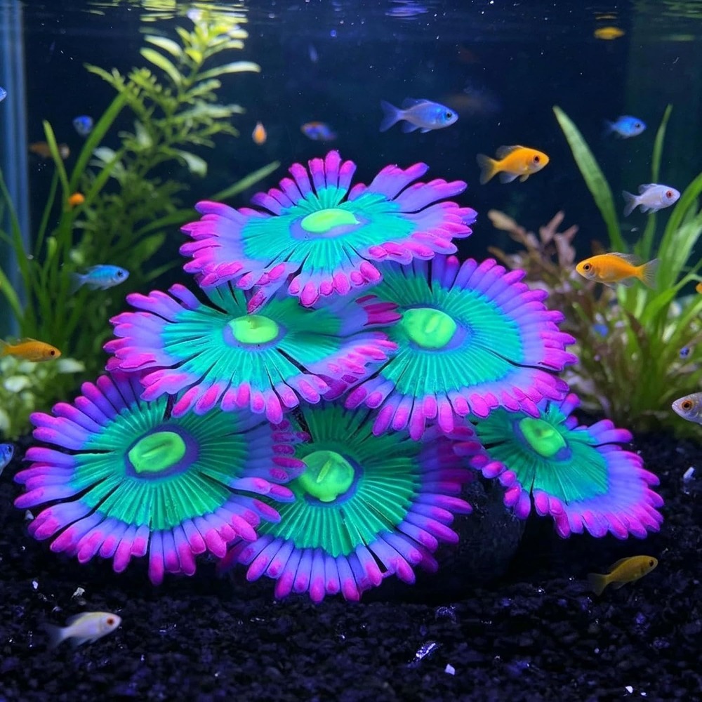 Marine Aquarium For Sale - Leuchtende Weiche Aquarium-Dekorationen Silikon-Leuchtpflanzen Künstliche Ornamente