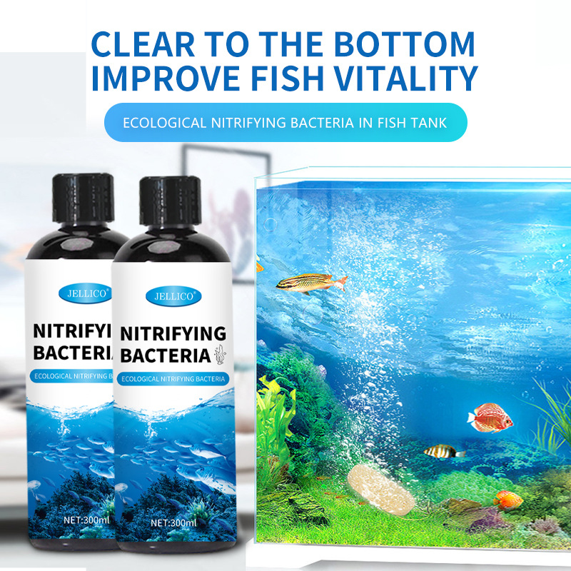 Marine Aquarium In Clearwater - 300ml Nitrifizierende Bakterien Aquarium-Wasserreiniger Zersetzen Fischabfälle