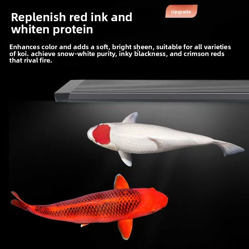 Marine Aquarium In Clearwater - LED-Aquariumbeleuchtung für Fischbecken mit Meeresbeleuchtungssystem zur
