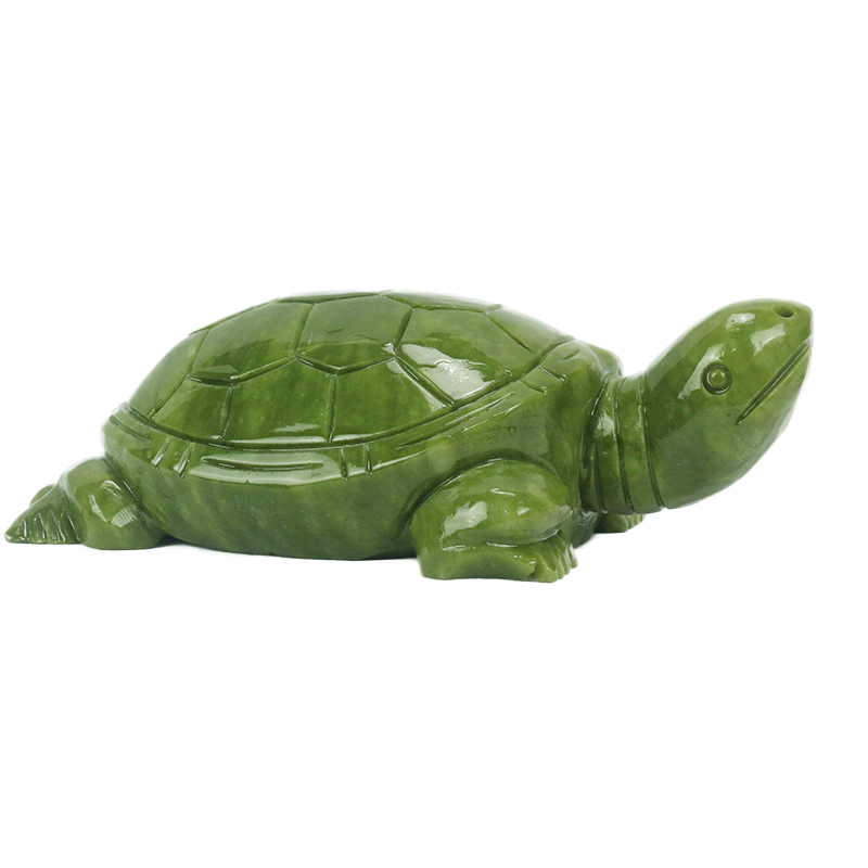 Natürliche Jade/Schildkröte Sk – Marine Aquarium For Sale Bewertung und Preis