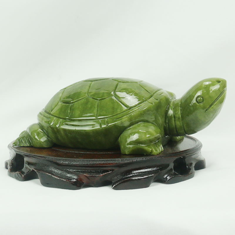Natürliche Jade/Schildkröte Sk – Marine Aquarium For Sale Bewertung und Preis