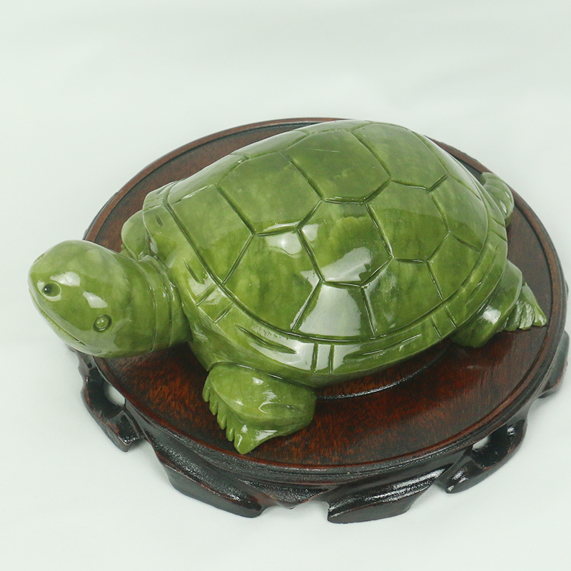 Natürliche Jade/Schildkröte Sk – Marine Aquarium For Sale Bewertung und Preis
