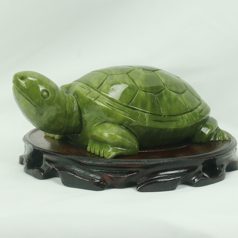 Natürliche Jade/Schildkröte Sk – Marine Aquarium For Sale Bewertung und Preis
