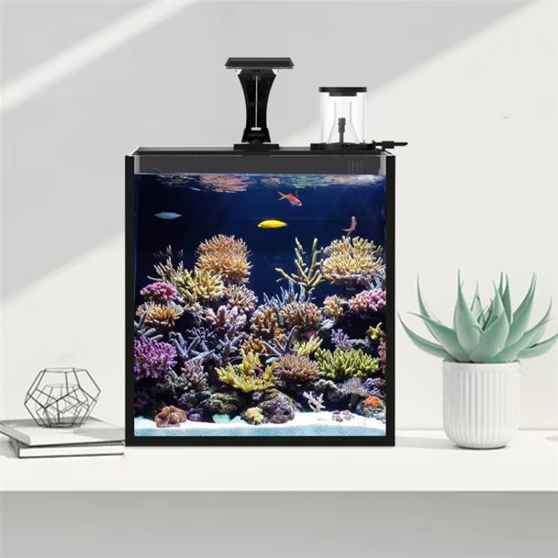 Ultraklar-Glas-Mini-Meerwasser – Marine Aquarium In Clearwater Bewertung und Preis