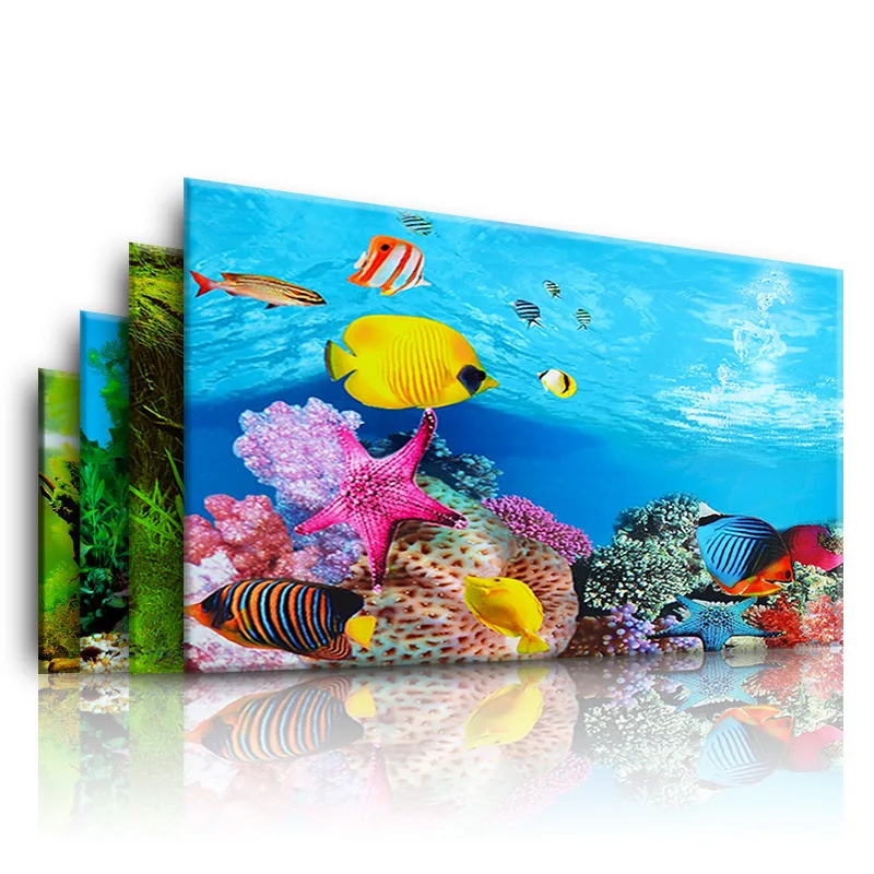 Hintergrund für Aquarium 3D Au – Marine Aquarium For Sale Bewertung und Preis