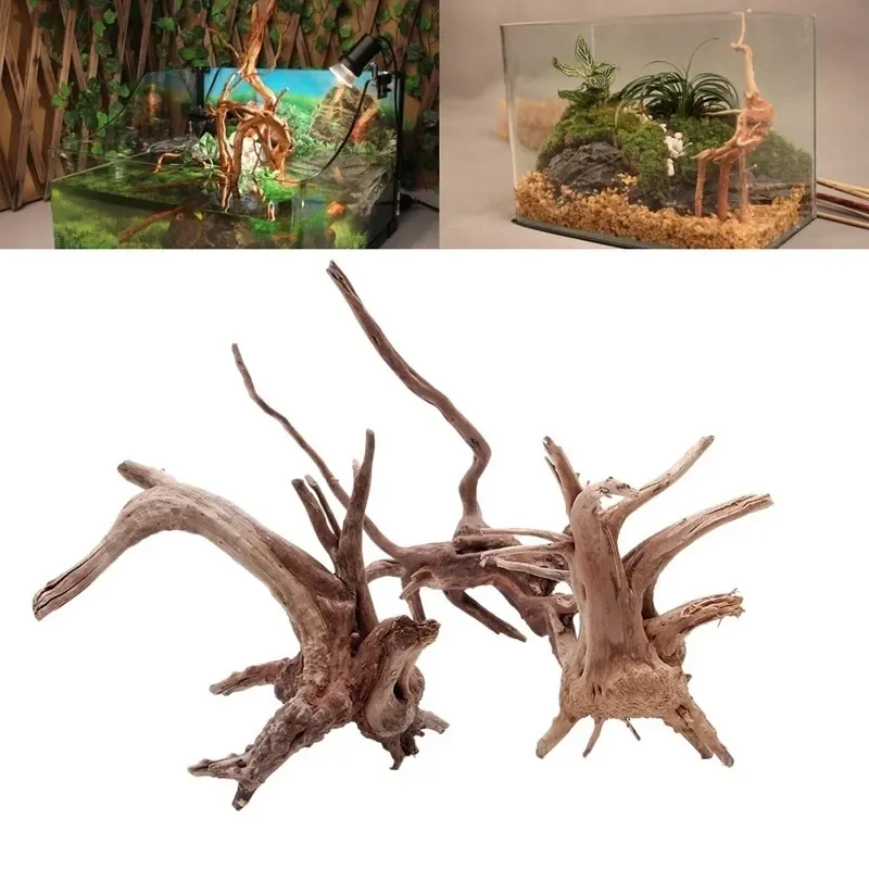 Natürlicher Baumstamm Treibhol – Marine Aquarium For Sale Bewertung und Preis