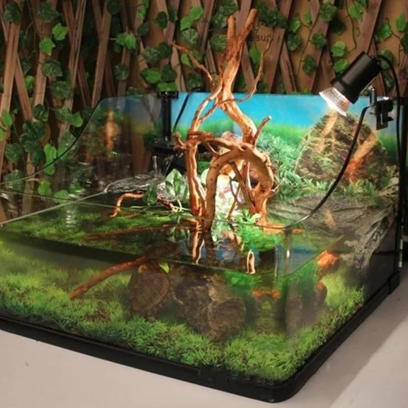 Natürlicher Baumstamm Treibhol – Marine Aquarium For Sale Bewertung und Preis