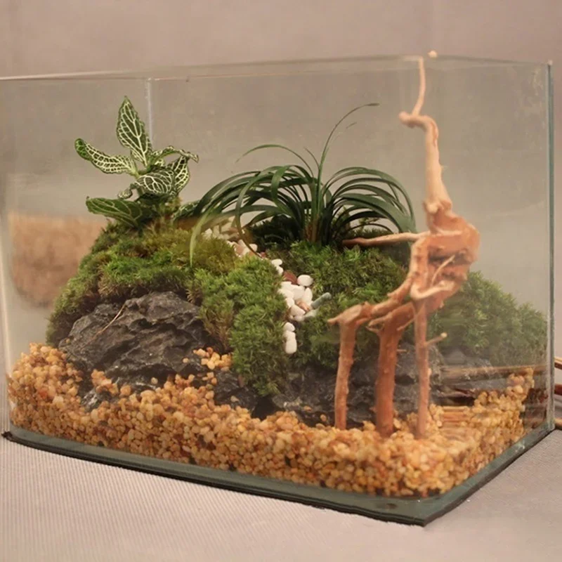 Natürlicher Baumstamm Treibhol – Marine Aquarium For Sale Bewertung und Preis
