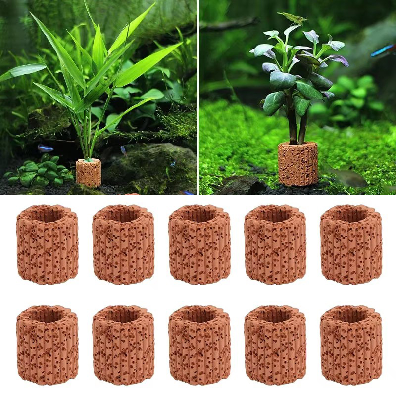 Fester Ring für Wasserpflanzen – Marine Aquarium For Sale Bewertung und Preis