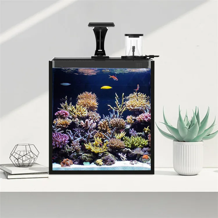Neuestes Modell Klarglas Mini  – Marine Aquarium In Clearwater Bewertung und Preis