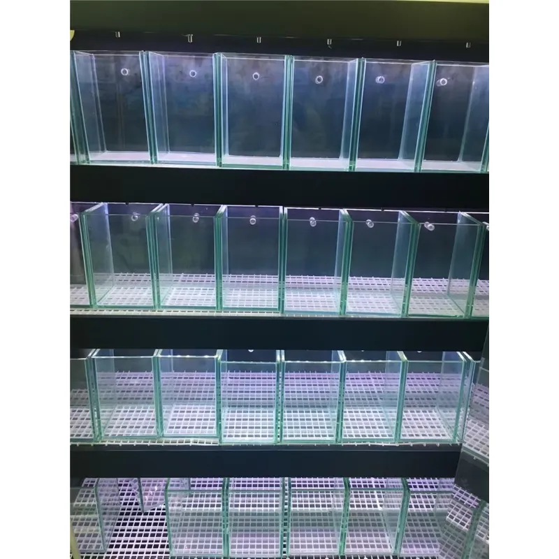 Ultraklares Glas-Aquarium für  – Marine Aquarium In Clearwater Bewertung und Preis