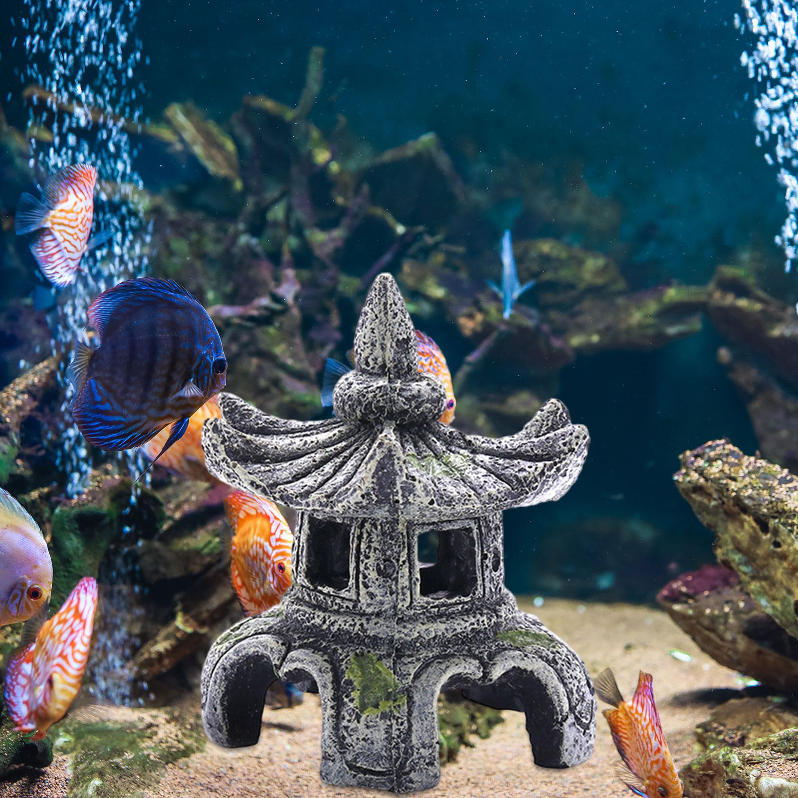 Aquarium Ornament Aquarium Zub – Marine Aquarium For Sale Bewertung und Preis
