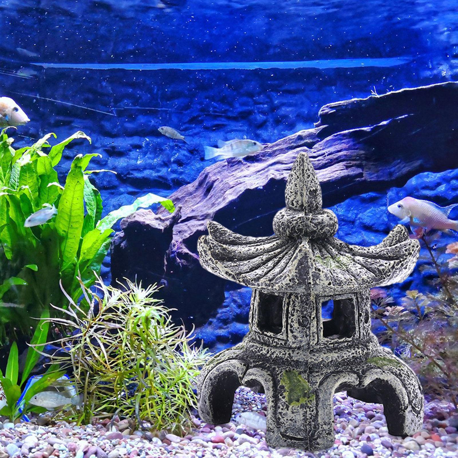 Aquarium Ornament Aquarium Zub – Marine Aquarium For Sale Bewertung und Preis