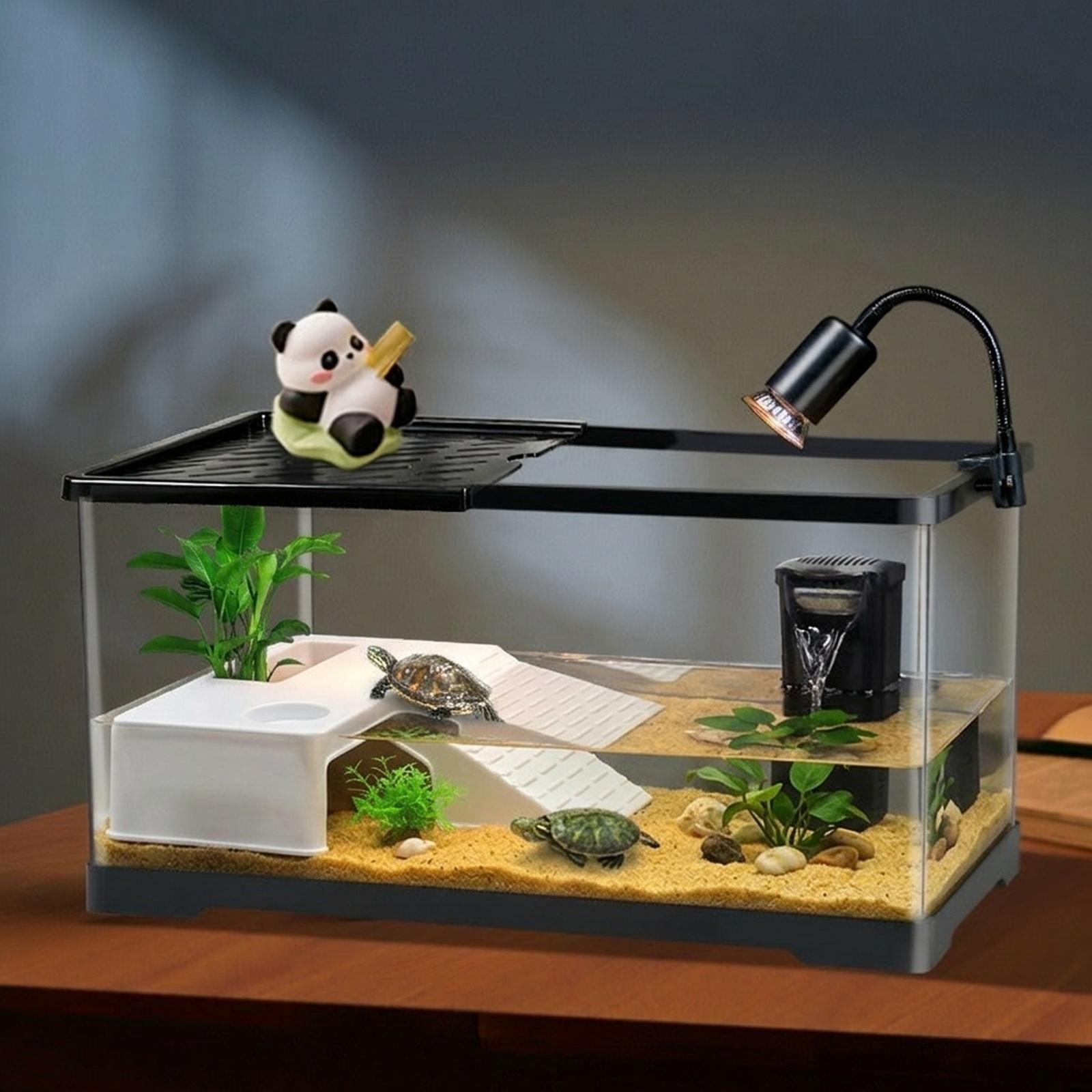Schildkröten-Ruheplattform, So – Marine Aquarium Hobby Bewertung und Preis