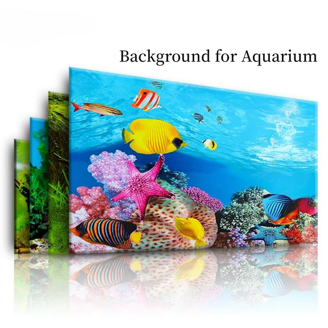 Hintergrund Aquarium 3D Aufkle – Marine Aquarium For Sale Bewertung und Preis