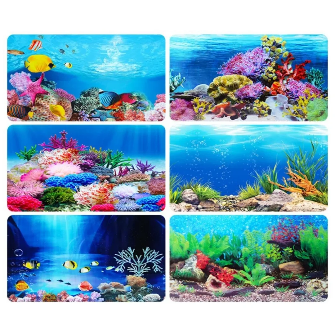 Hintergrund Aquarium 3D Aufkle – Marine Aquarium For Sale Bewertung und Preis