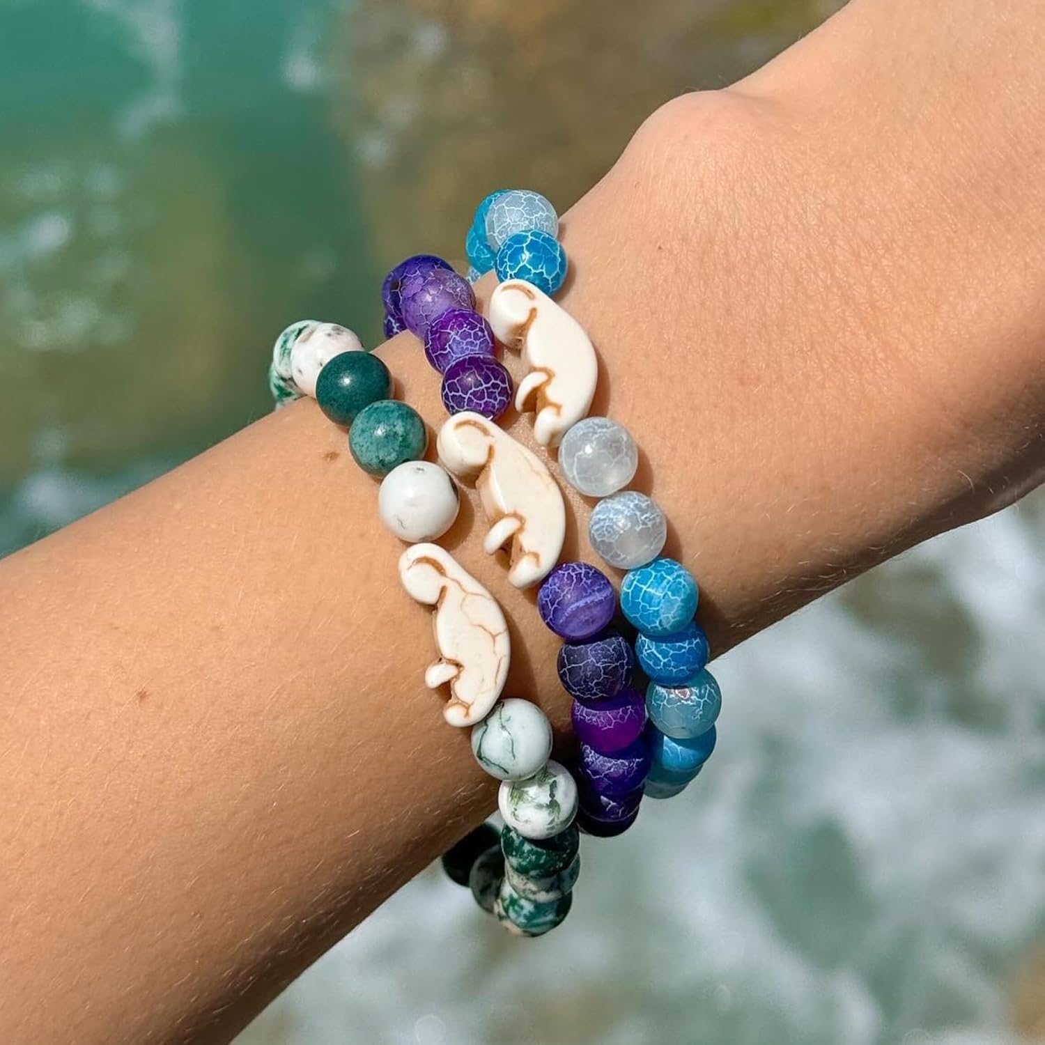 Fahlo Drift Manatee-Tracking-A – Marine Aquarium In Clearwater Bewertung und Preis
