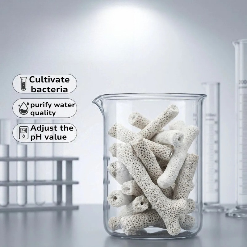 Natürliches Korallenknochen-Fi – Calcium Reactor Media Bewertung und Preis