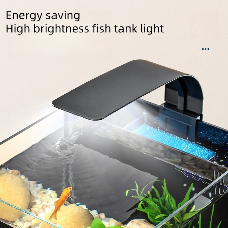 Ultra-Klares Glas Luxus-Mini-S – Marine Aquarium In Clearwater Bewertung und Preis