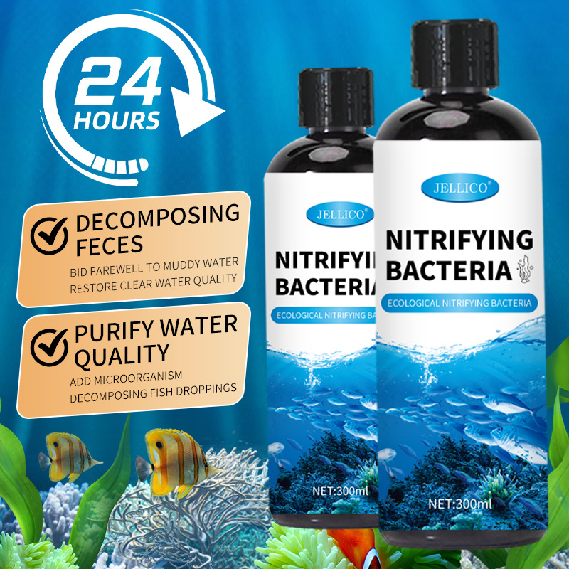 300ml Nitrifizierende Bakterie – Marine Aquarium In Clearwater Bewertung und Preis