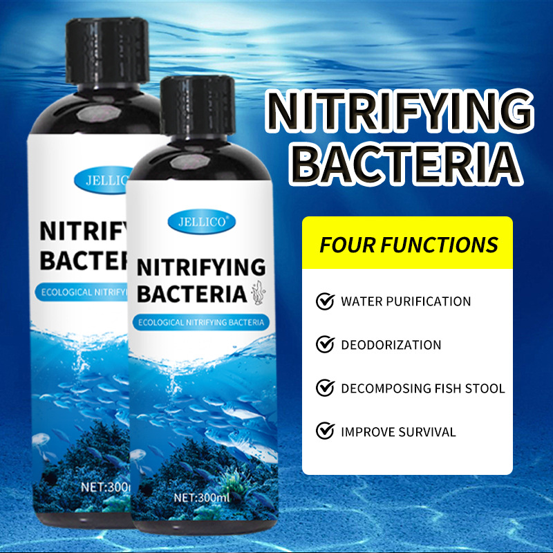 300ml Nitrifizierende Bakterie – Marine Aquarium In Clearwater Bewertung und Preis