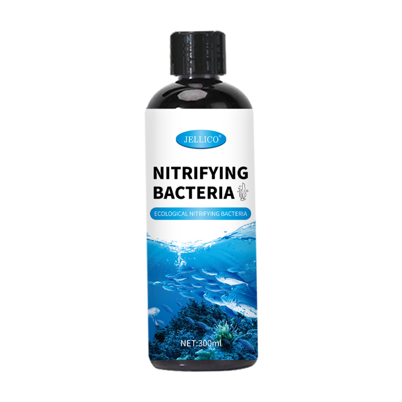 300ml Nitrifizierende Bakterie – Marine Aquarium In Clearwater Bewertung und Preis