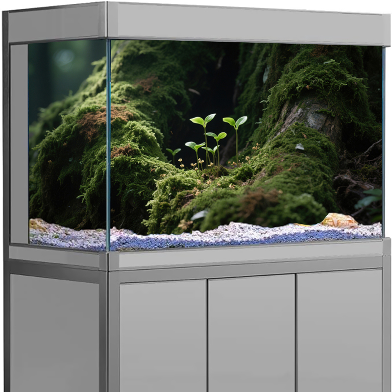 Aquarium-Dekor Hintergrund-Auf – Marine Aquarium For Sale Bewertung und Preis