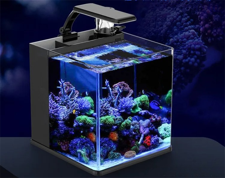 Ultraklares Glas Mini Salzwass – Marine Aquarium In Clearwater Bewertung und Preis