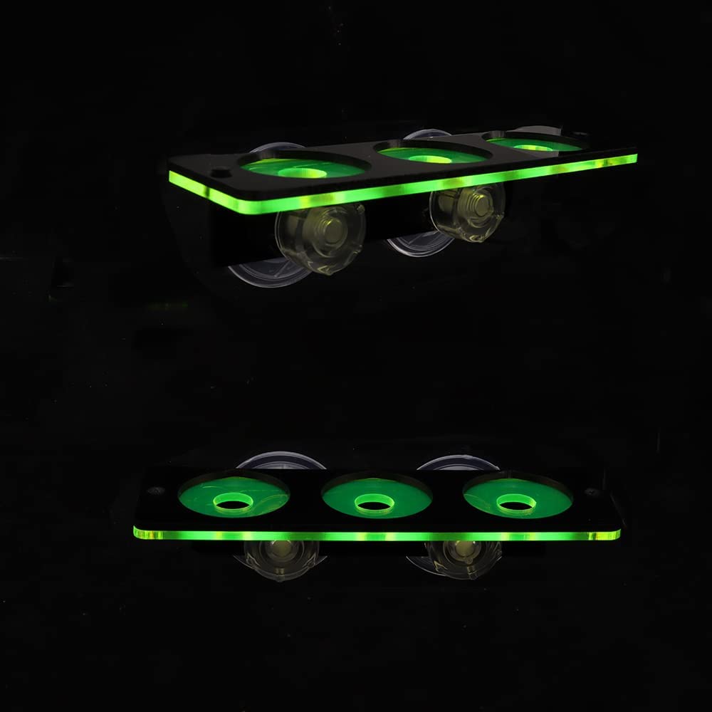 Fluoreszierende Korallen Frag  – Marine Aquarium For Sale Bewertung und Preis