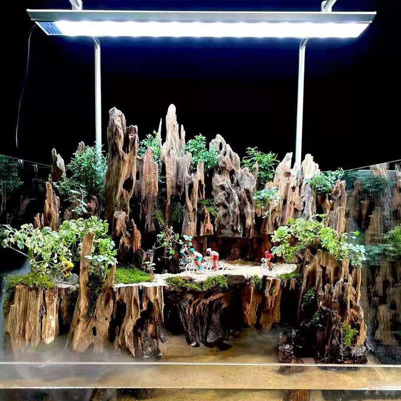 △   Krebsbaumholz-Aquariumdeko – Marine Aquarium For Sale Bewertung und Preis
